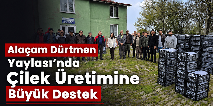 Alaçam Dürtmen Yaylası’nda Çilek Üretimine Büyük Destek