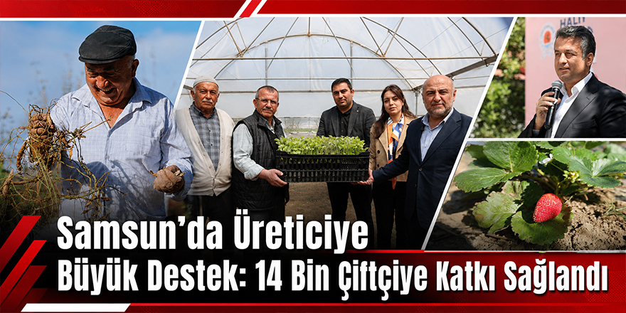 Samsun’da Üreticiye Büyük Destek: 14 Bin Çiftçiye Katkı Sağlandı