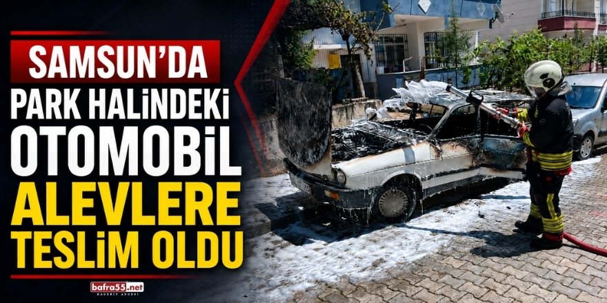 Samsunda Park Halindeki Otomobil Alevlere Teslim Oldu