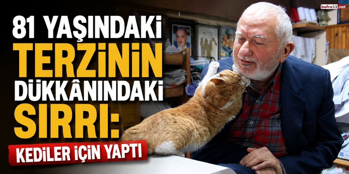 81 Yaşındaki Terzinin Dükkânındaki Sırrı: Kediler İçin Yaptı