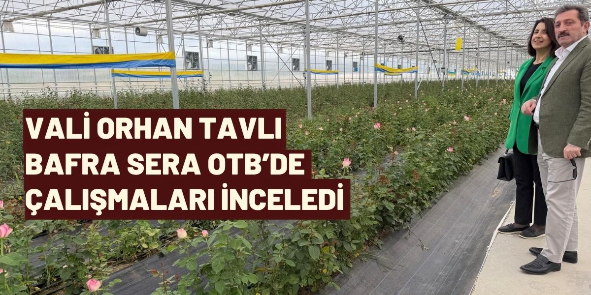 Vali Orhan Tavlı Bafra Sera OTB’de Çalışmaları İnceledi
