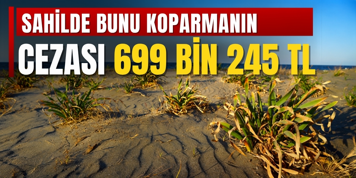 Sahilde Bunu Koparmanın Cezası 699 Bin 245 TL