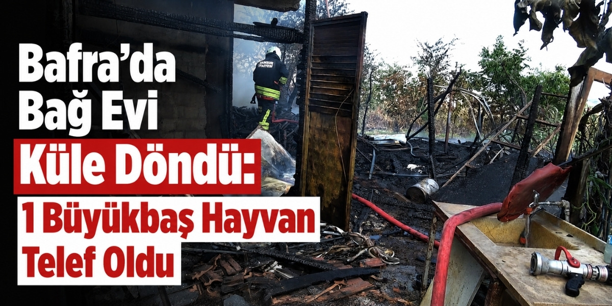 Bafra’da Bağ Evi Küle Döndü: 1 Büyükbaş Hayvan Telef Oldu