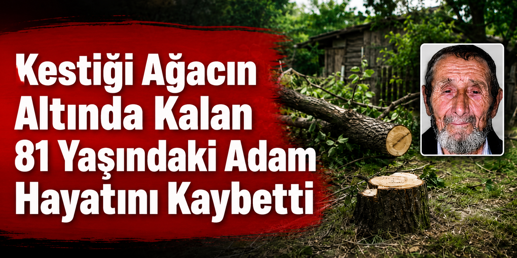Kestiği Ağacın Altında Kalan 81 Yaşındaki Adam Hayatını Kaybetti