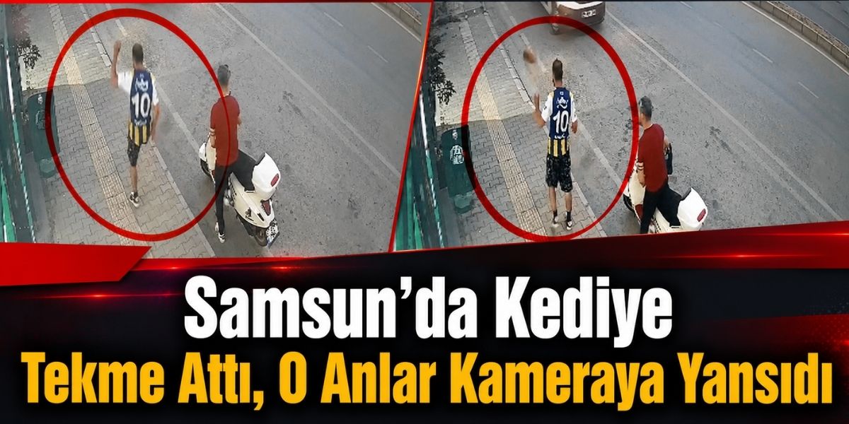 Samsun’da Kediye Tekme Attı, O Anlar Kameraya Yansıdı