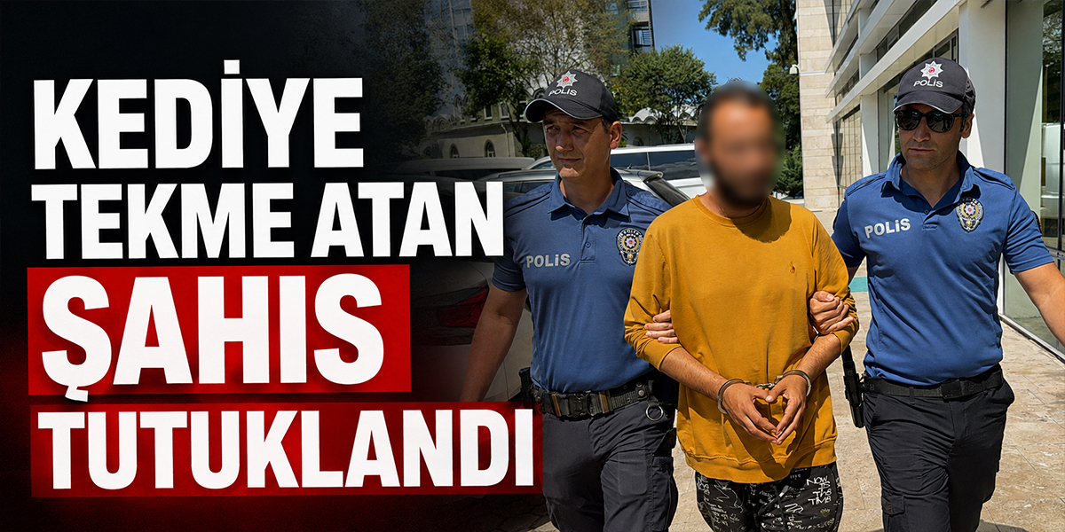 Kediye tekme atan şahıs tutuklandı