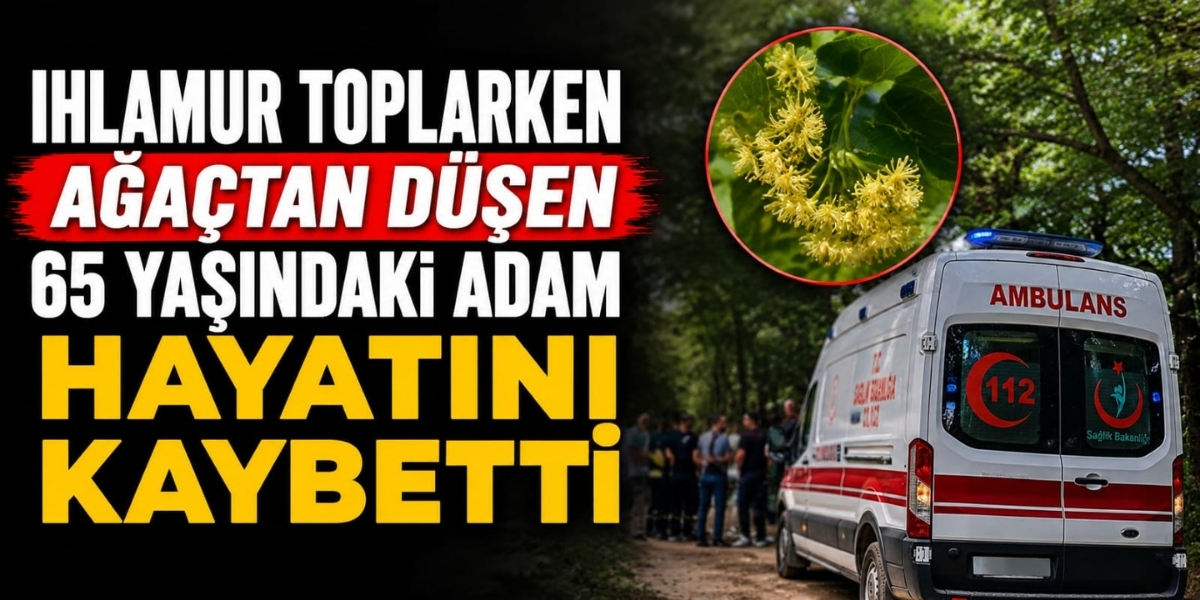 Ihlamur Toplarken Ağaçtan Düşen 65 Yaşındaki Adam Hayatını Kaybetti