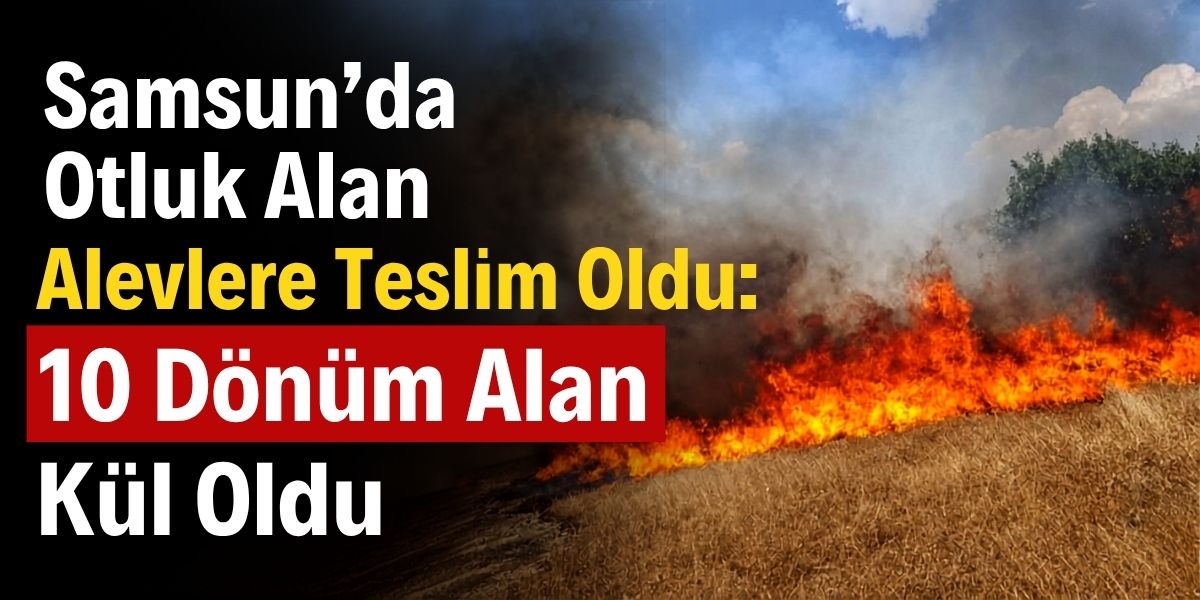 Samsun’da Otluk Alan Alevlere Teslim Oldu: 10 Dönüm Alan Kül Oldu