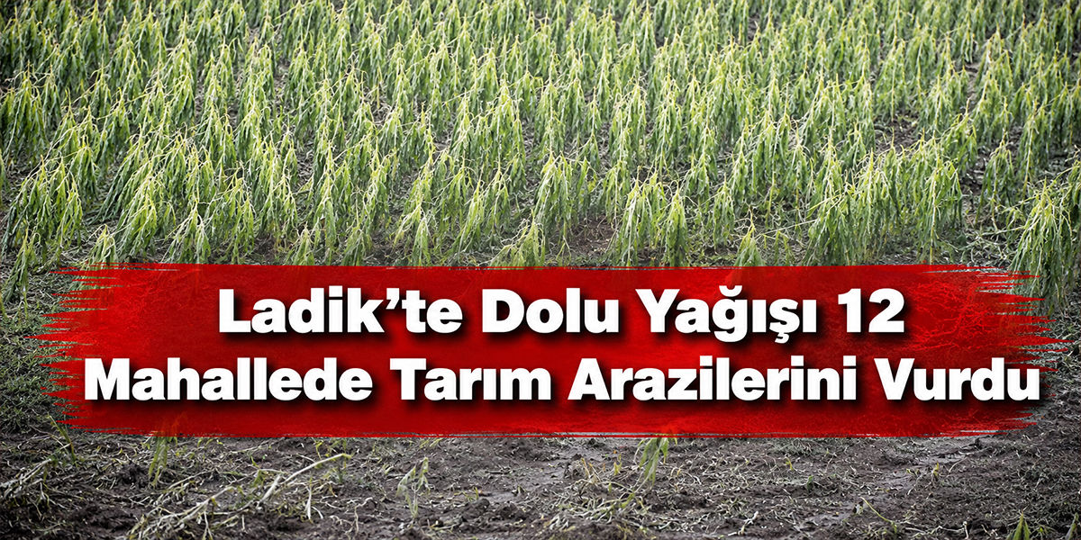 Ladik’te Dolu Yağışı 12 Mahallede Tarım Arazilerini Vurdu