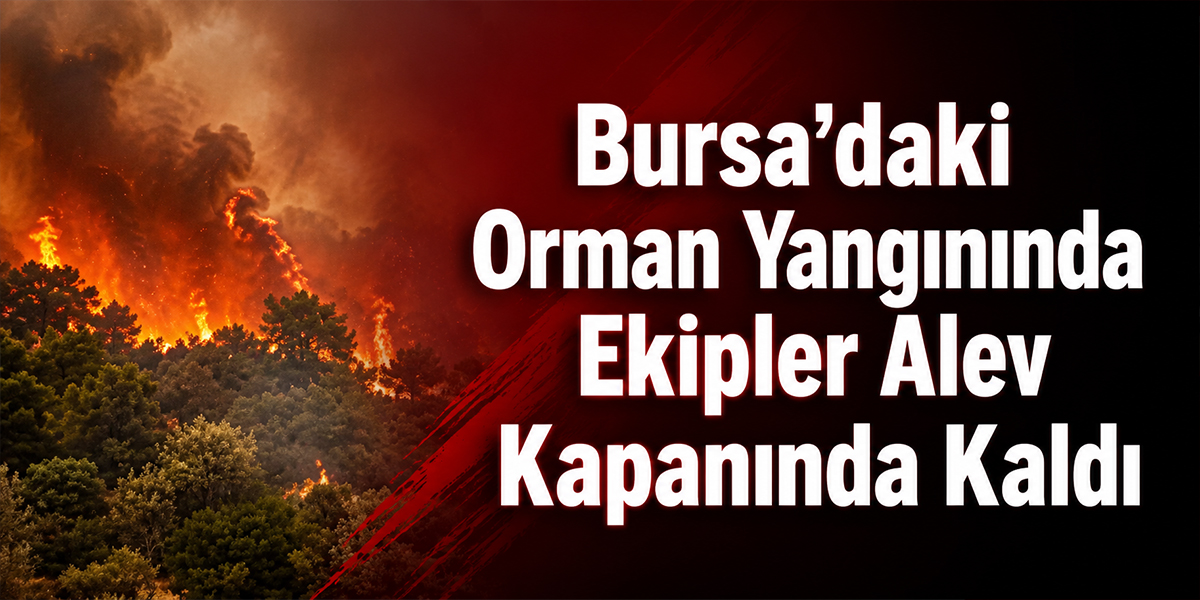Bursa’daki Orman Yangınında Ekipler Alev Kapanında Kaldı