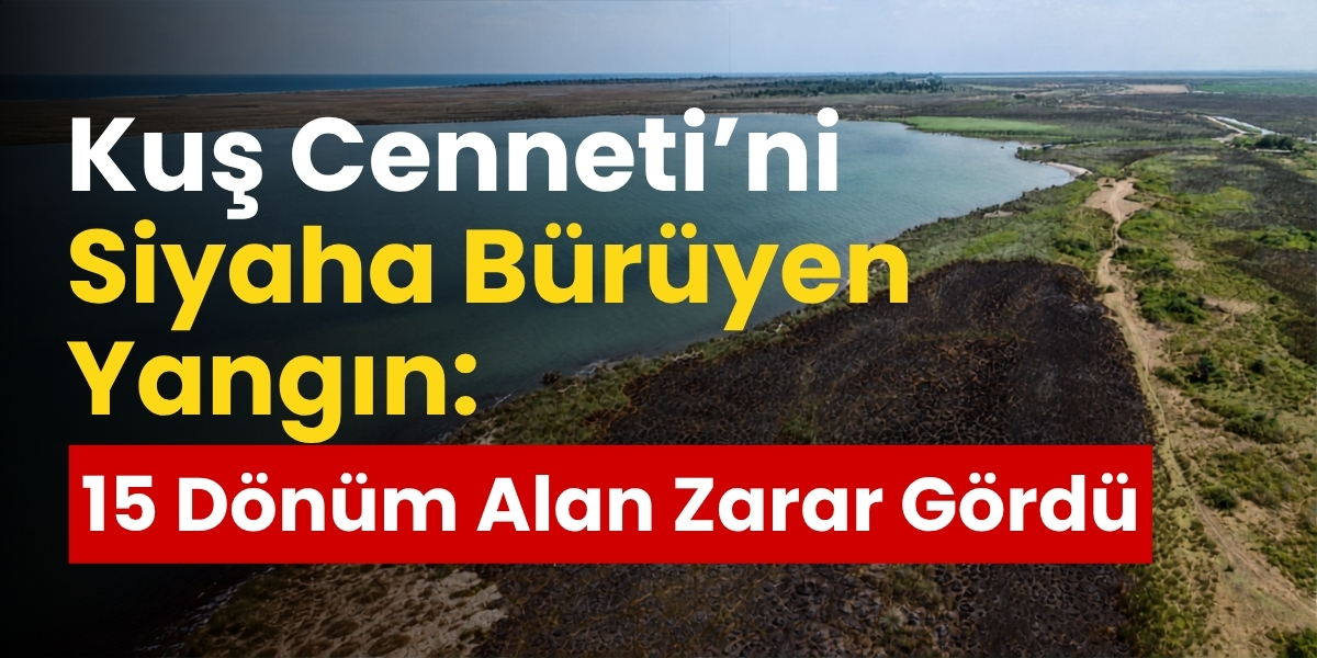 Kuş Cenneti’ni Siyaha Bürüyen Yangın: 15 Dönüm Alan Zarar Gördü