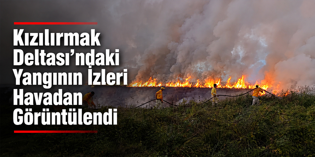 Kuş Cenneti’ni Siyaha Bürüyen Yangın: 15 Dönüm Alan Zarar Gördü