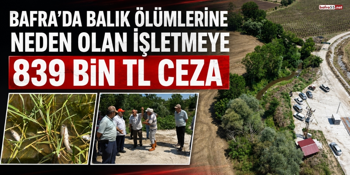 Bafra'da Balık Ölümlerine Neden Olan İşletmeye 839 Bin TL Ceza
