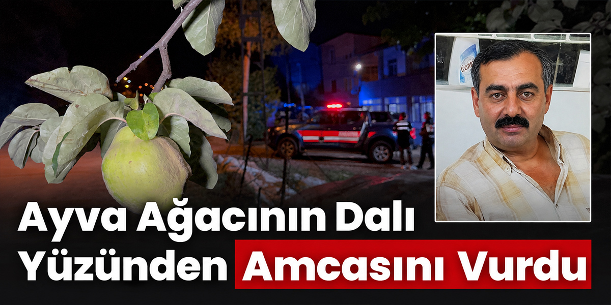 Ayva Ağacının Dalı Yüzünden Amcasını Vurdu