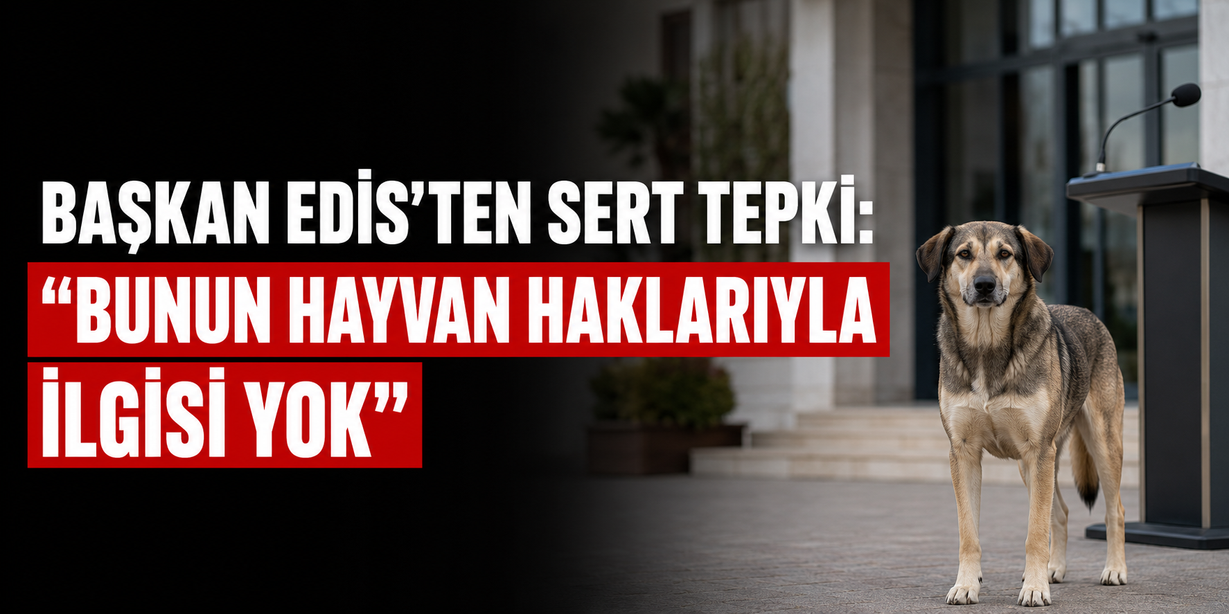 Başkan Edis’ten Sert Tepki: “Bunun Hayvan Haklarıyla İlgisi Yok”