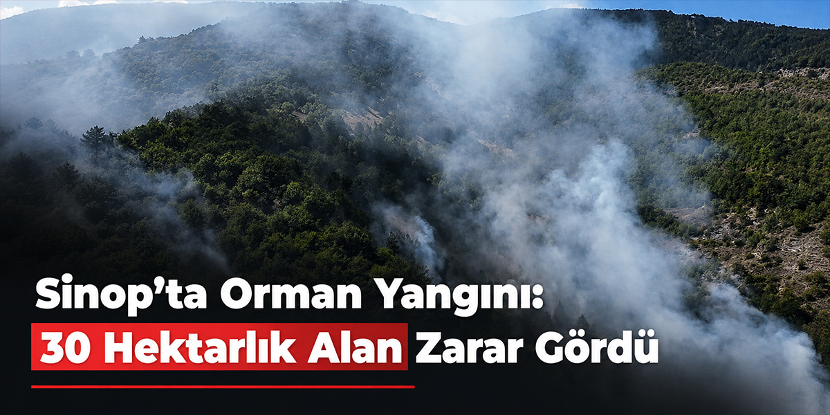 Sinop’ta Orman Yangını: 30 Hektarlık Alan Zarar Gördü