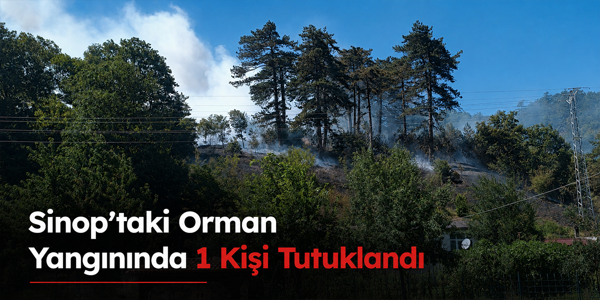 Sinop’taki Orman Yangınında 1 Kişi Tutuklandı