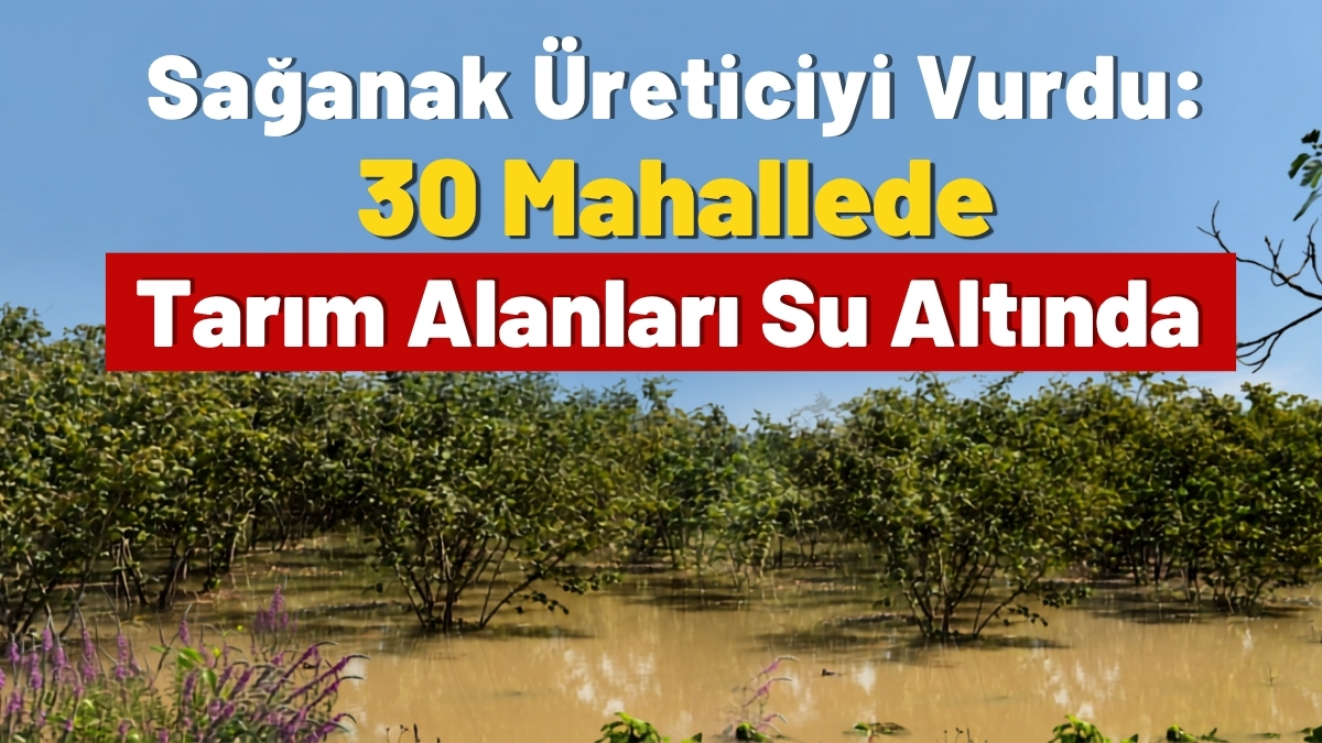 Sağanak Üreticiyi Vurdu: 30 Mahallede Tarım Alanları Su Altında