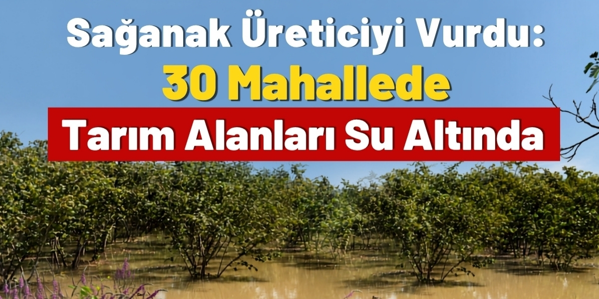 Sağanak Üreticiyi Vurdu: 30 Mahallede Tarım Alanları Su Altında