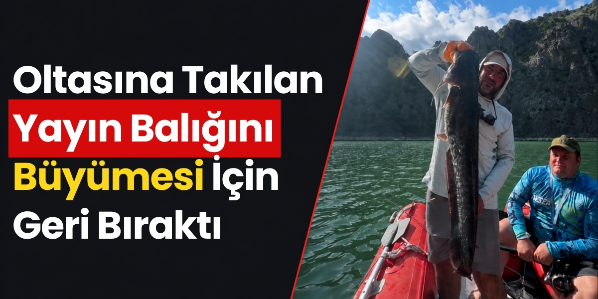 Oltasına Takılan Yayın Balığını Büyümesi İçin Geri Bıraktı