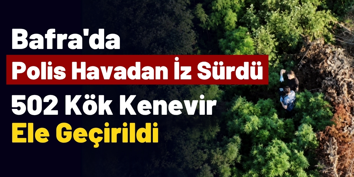 Bafra’da Polis Havadan İz Sürdü: 502 Kök Kenevir Ele Geçirildi