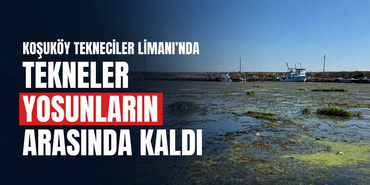 Koşuköy Tekneciler Limanı’nda Tekneler Yosunların Arasında Kaldı