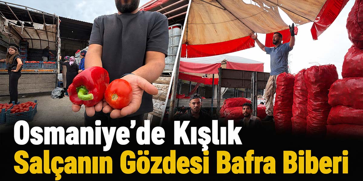 Osmaniye’de Kışlık Salçanın Gözdesi Bafra Biberi