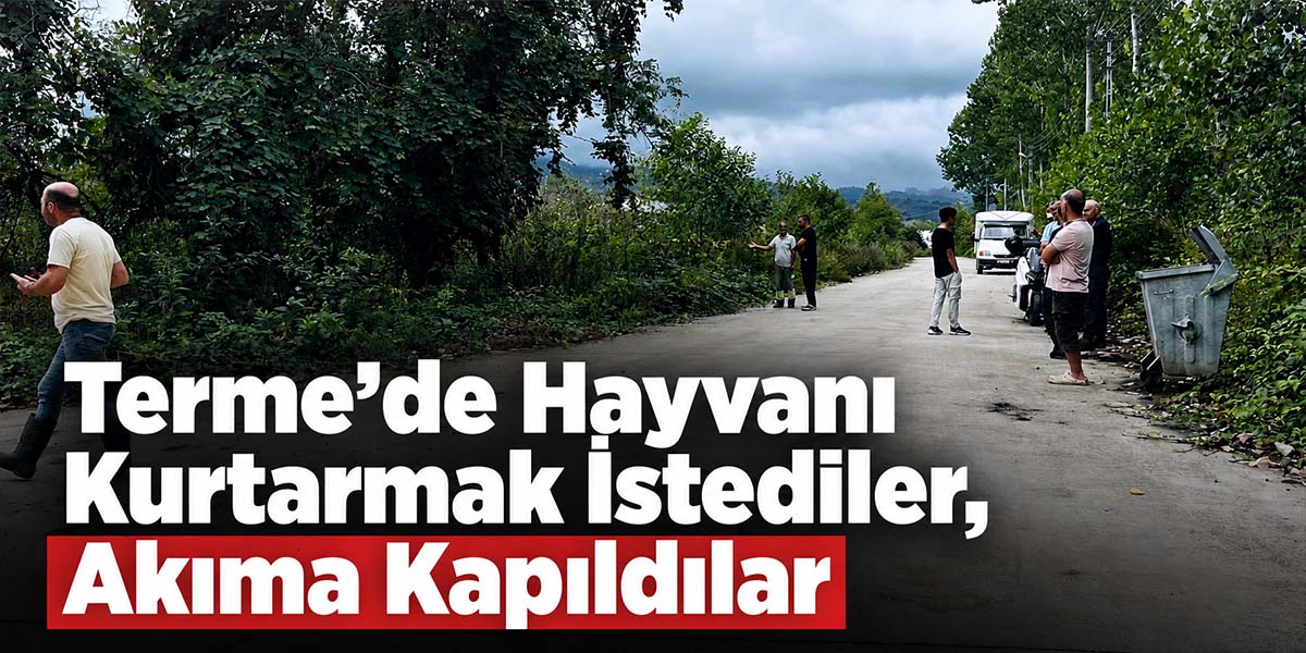 Terme’de Hayvanı Kurtarmak İstediler, Akıma Kapıldılar