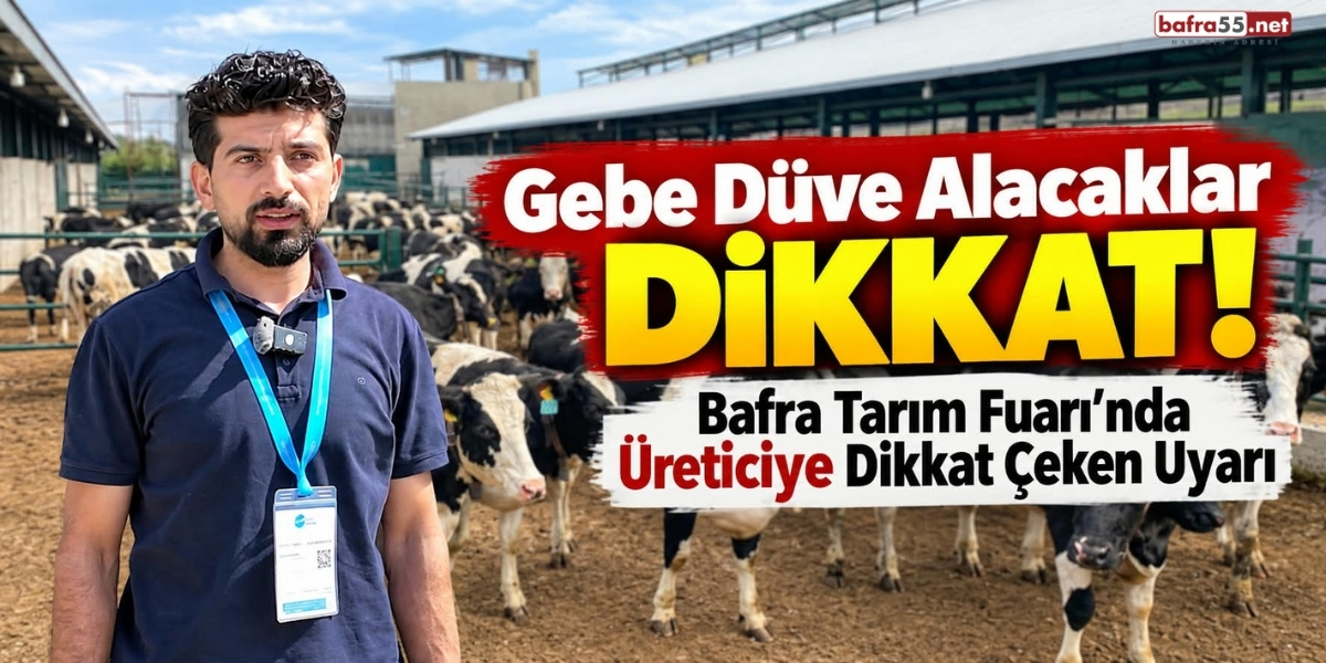 Gebe Düve Alacaklar Dikkat! Bafra Tarım Fuarı’nda Üreticiye Dikkat Çeken Uyarı