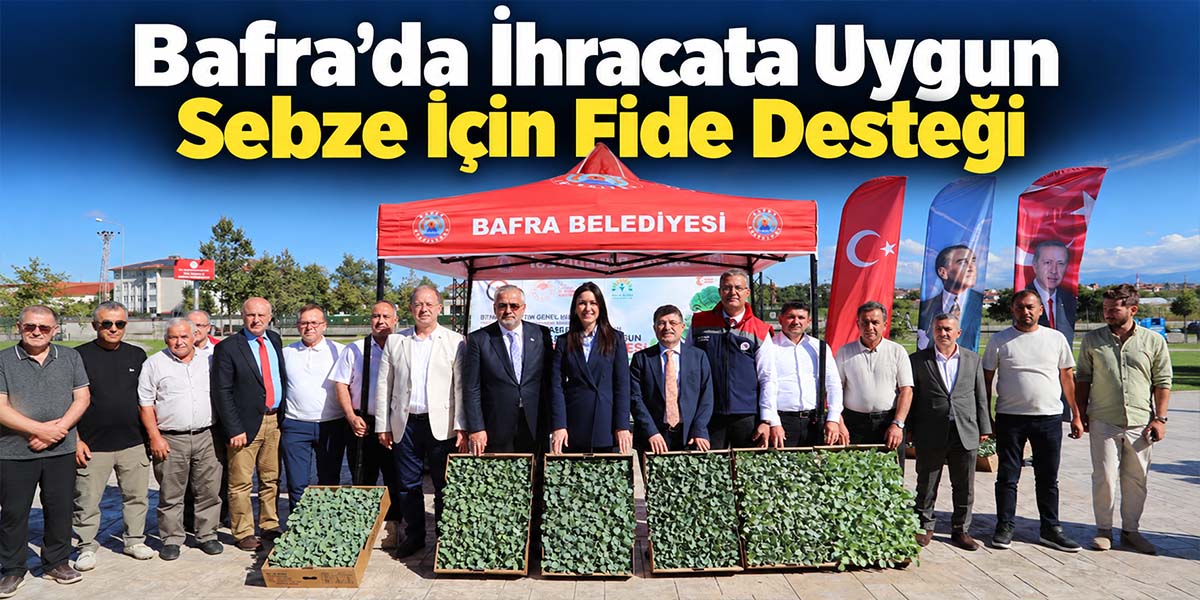 Bafra’da İhracata Uygun Sebze İçin Fide Desteği