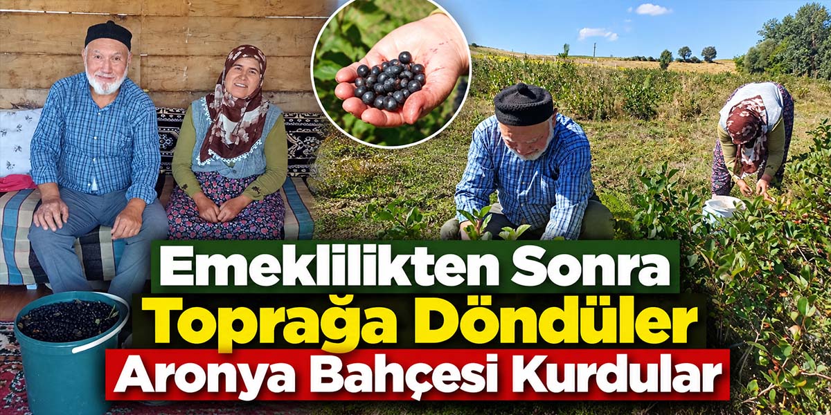 Emeklilikten Sonra Toprağa Döndüler Aronya Bahçesi Kurdular