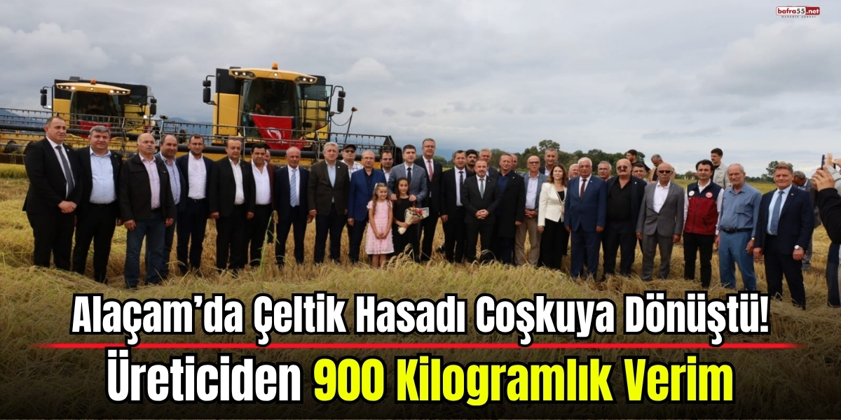 Alaçam’da Çeltik Hasadı Coşkuya Dönüştü! Üreticiden 900 Kilogramlık Verim