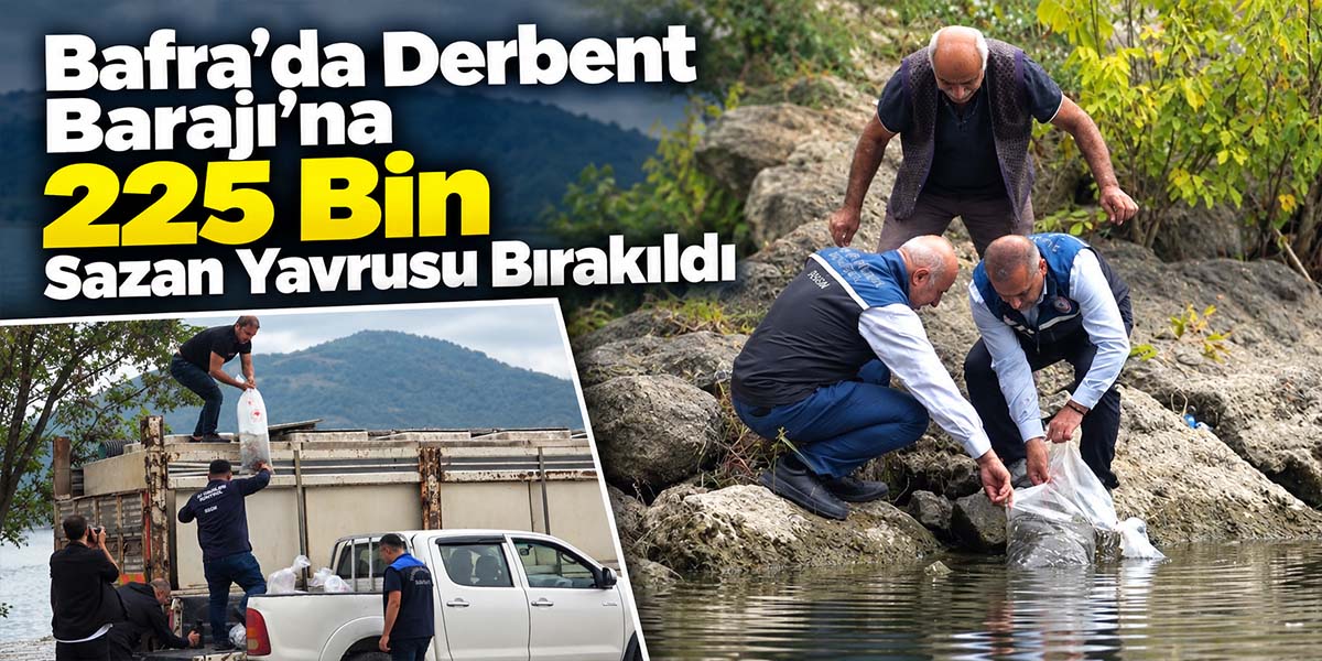 Bafra’da Derbent Barajı’na 225 Bin Sazan Yavrusu Bırakıldı