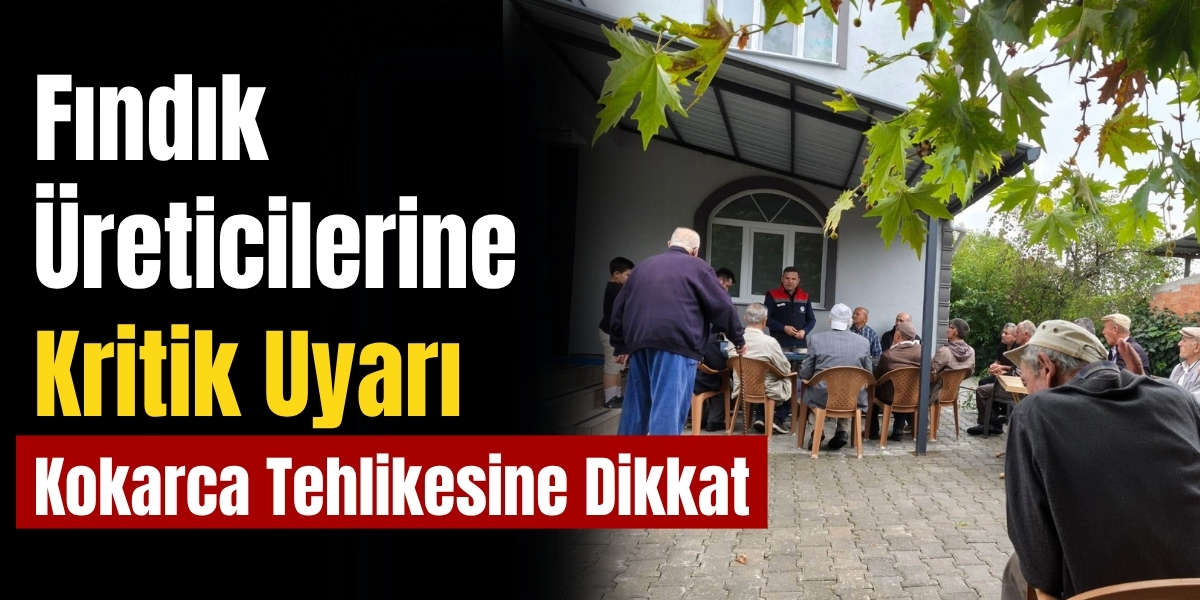 Fındık Üreticilerine Kritik Uyarı: Kokarca Tehlikesine Dikkat