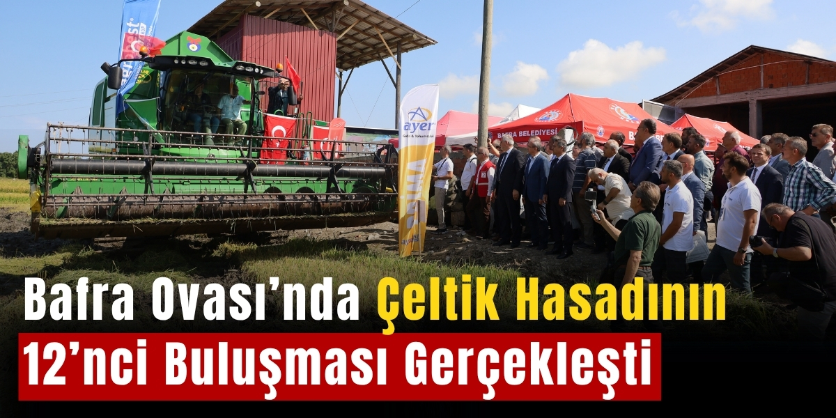 Bafra Ovası’nda Çeltik Hasadının 12’nci Buluşması Gerçekleşti
