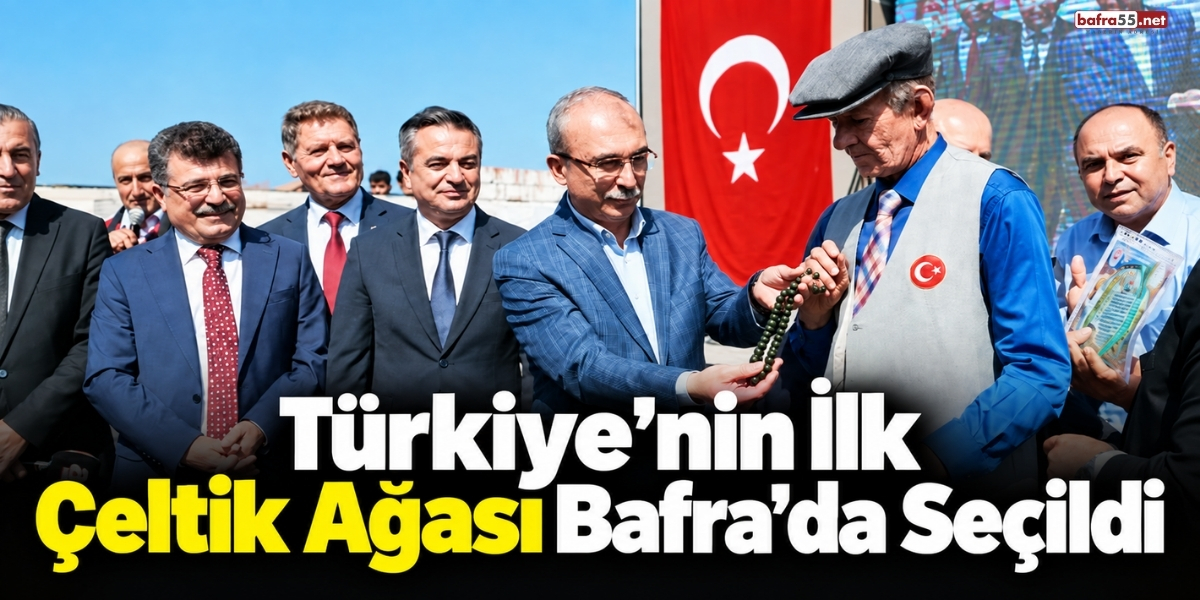 Türkiye’de Bir İlk Bafra’da Çeltik Ağalığı İçin Yarıştılar