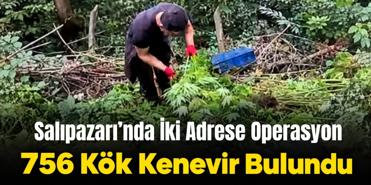 Salıpazarı’nda İki Adrese Operasyon 756 Kök Kenevir Bulundu