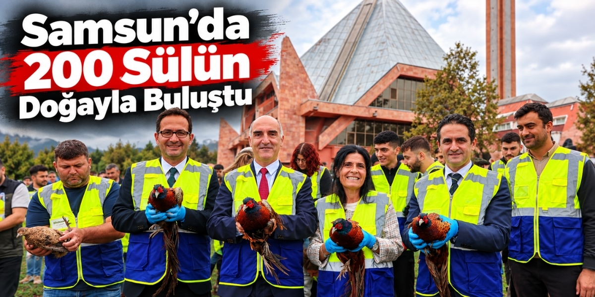 Samsun’da 200 Sülün Doğayla Buluştu