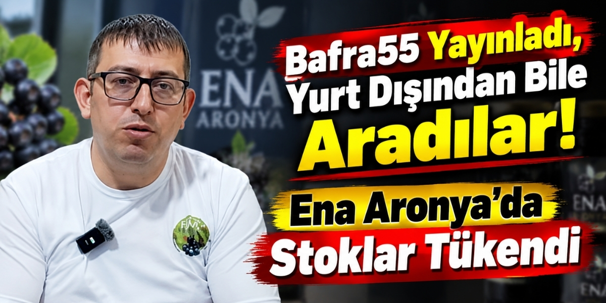 Bafra55 Yayınladı, Yurt Dışından Bile Aradılar! Ena Aronya’da Stoklar Tükendi
