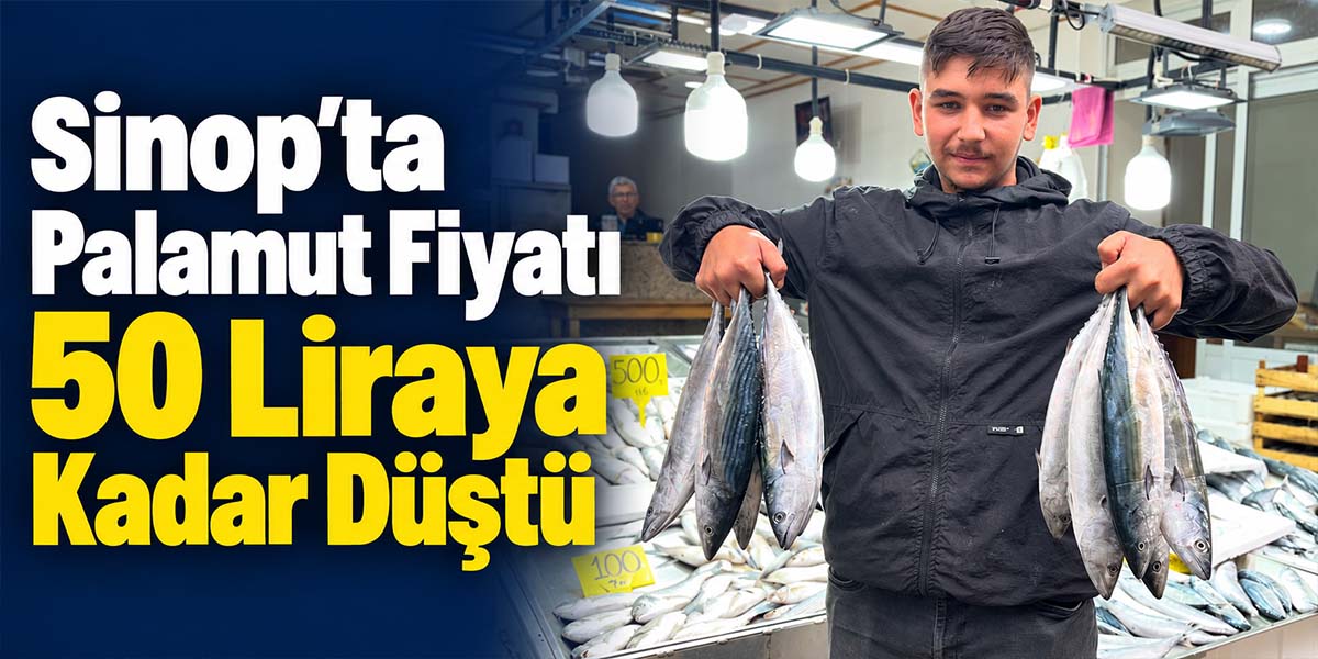 Sinop’ta Palamut Fiyatı 50 Liraya Kadar Düştü