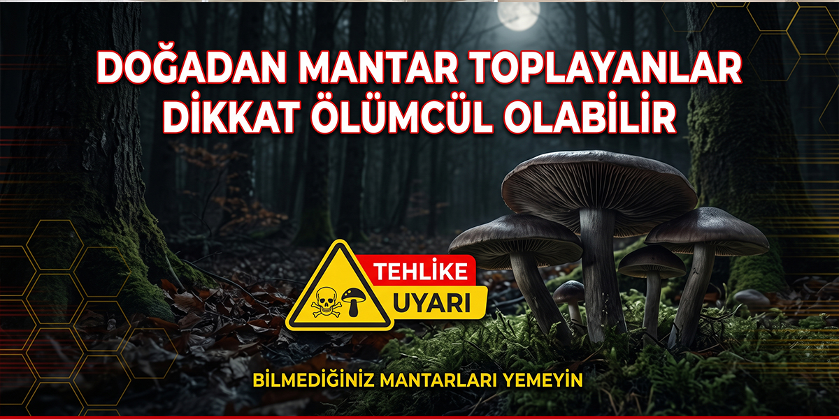 Doğadan Mantar Toplayanlar Dikkat Ölümcül Olabilir