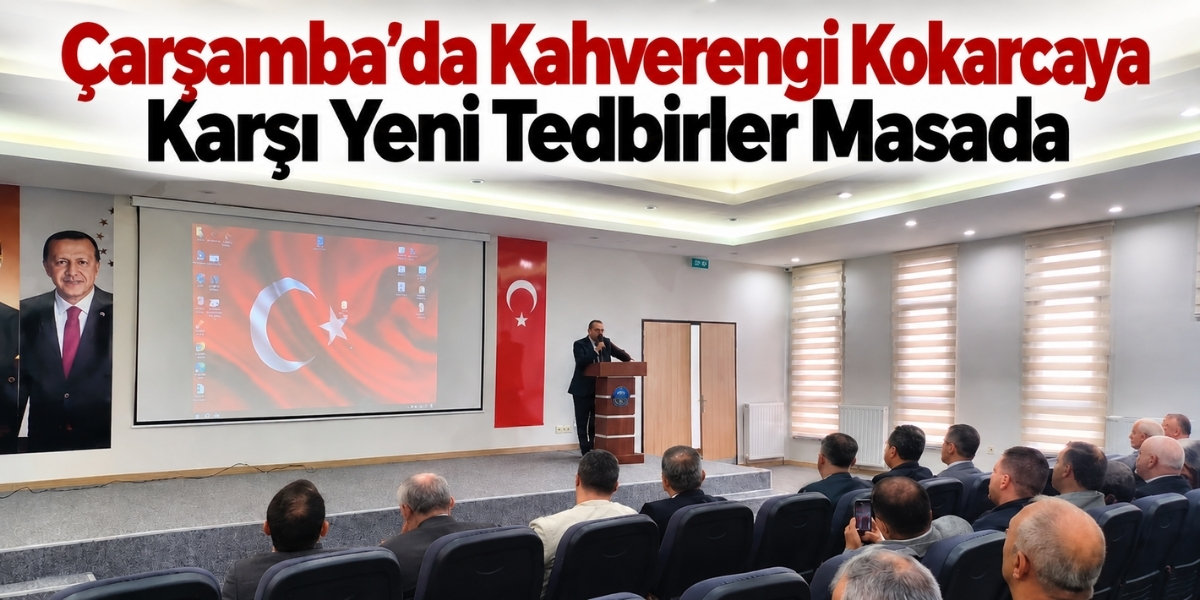 Çarşamba’da Kahverengi Kokarcaya Karşı Yeni Tedbirler Masada