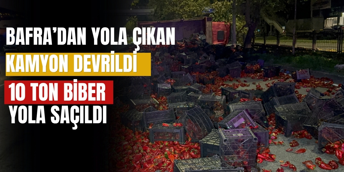 Bafra’dan Yola Çıkan Kamyon Devrildi 10 Ton Biber Yola Saçıldı