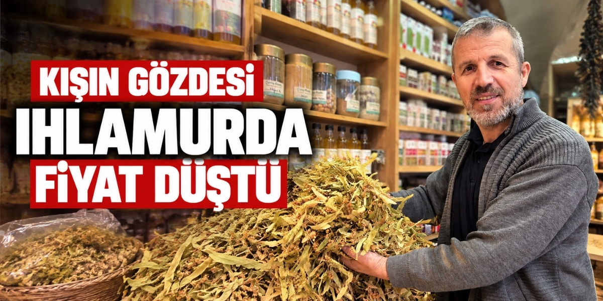 Kışın Gözdesi Ihlamurda Fiyat Düştü