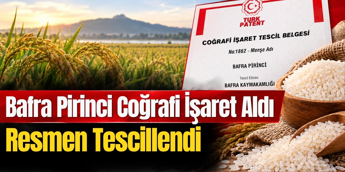 Bafra Pirinci Coğrafi İşaret Aldı: Resmen Tescillendi