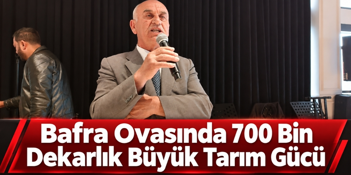 Bafra Ovasında 700 Bin Dekarlık Büyük Tarım Gücü