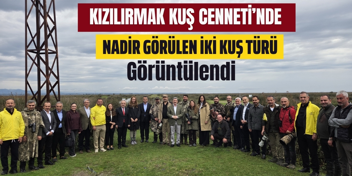 Kızılırmak Kuş Cenneti’nde Nadir Görülen İki Kuş Türü Görüntülendi