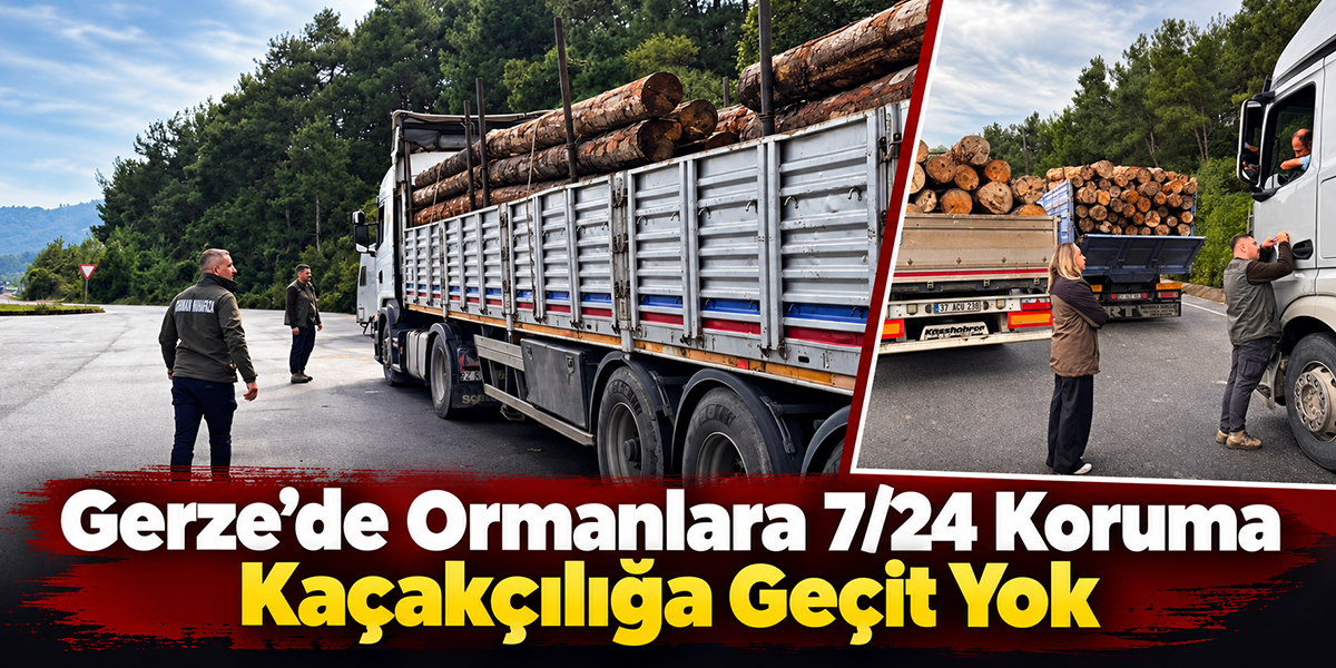 Gerze’de Ormanlara 7/24 Koruma Kaçakçılığa Geçit Yok