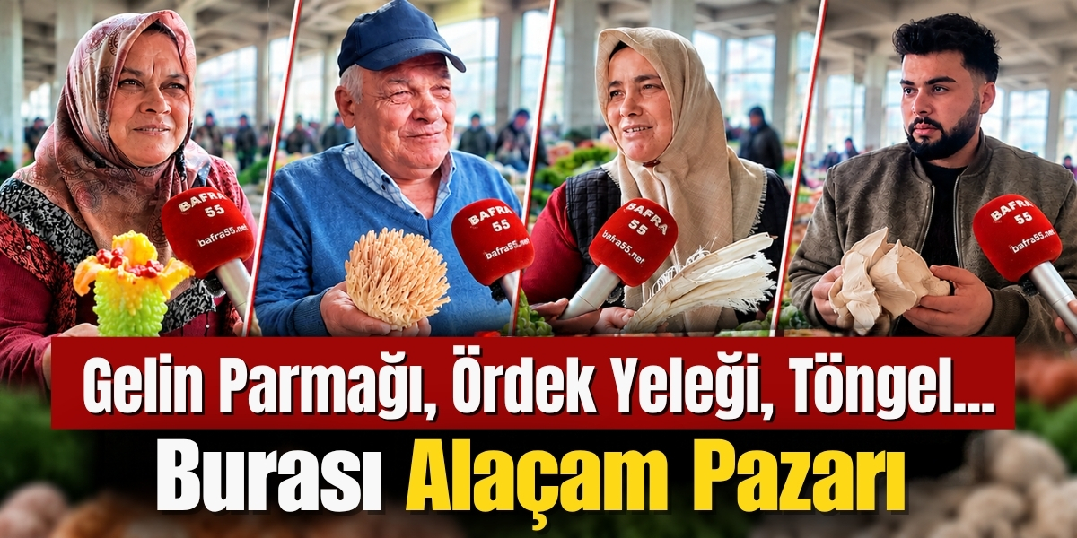 Gelin Parmağı, Ördek Yeleği, Töngel... Burası Alaçam Pazarı!