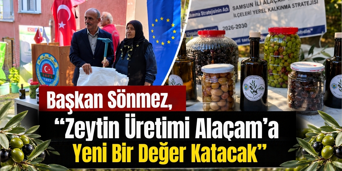 Başkan Sönmez , “Zeytin Üretimi Alaçam’a Yeni Bir Değer Katacak”